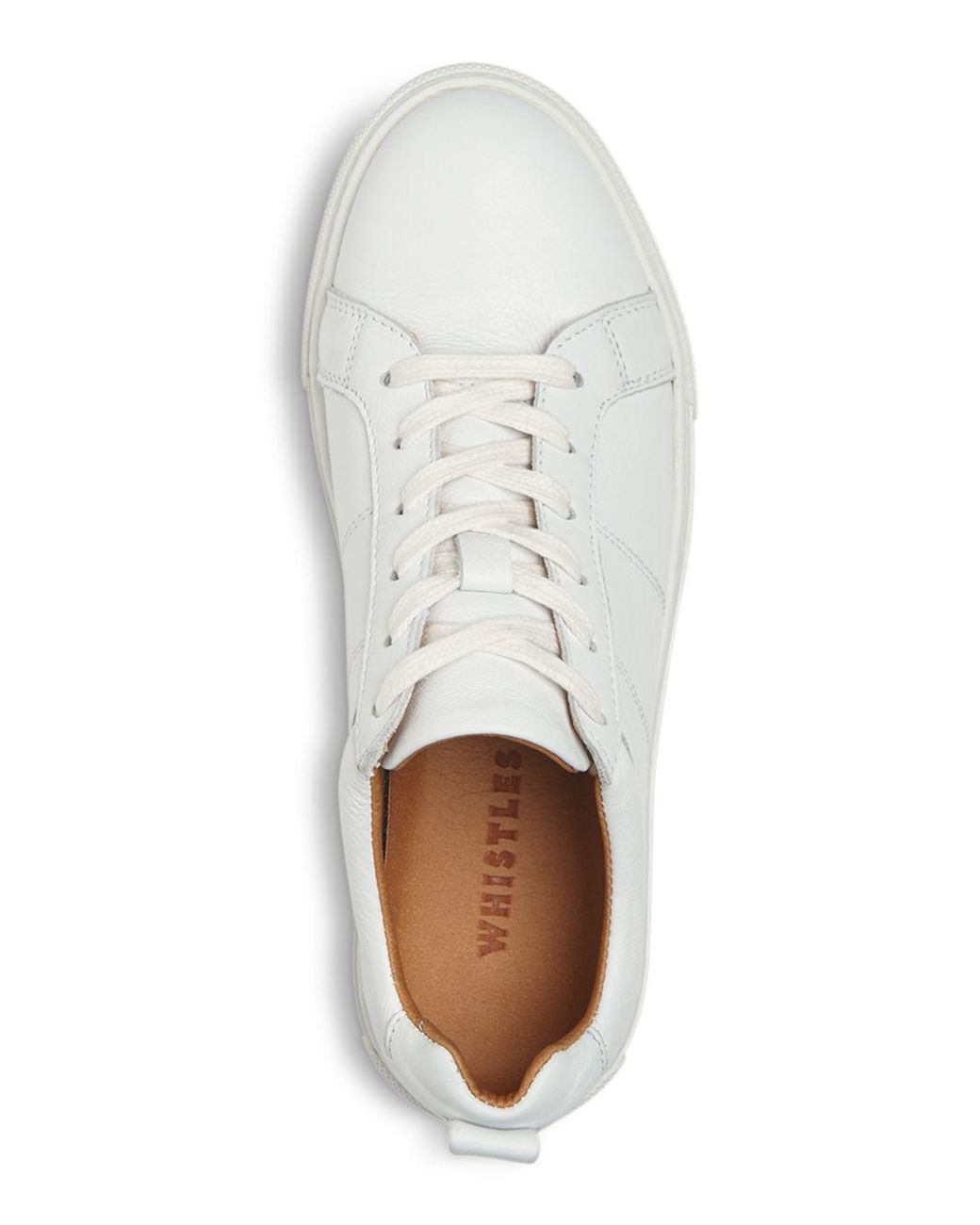 whistles koki sneaker