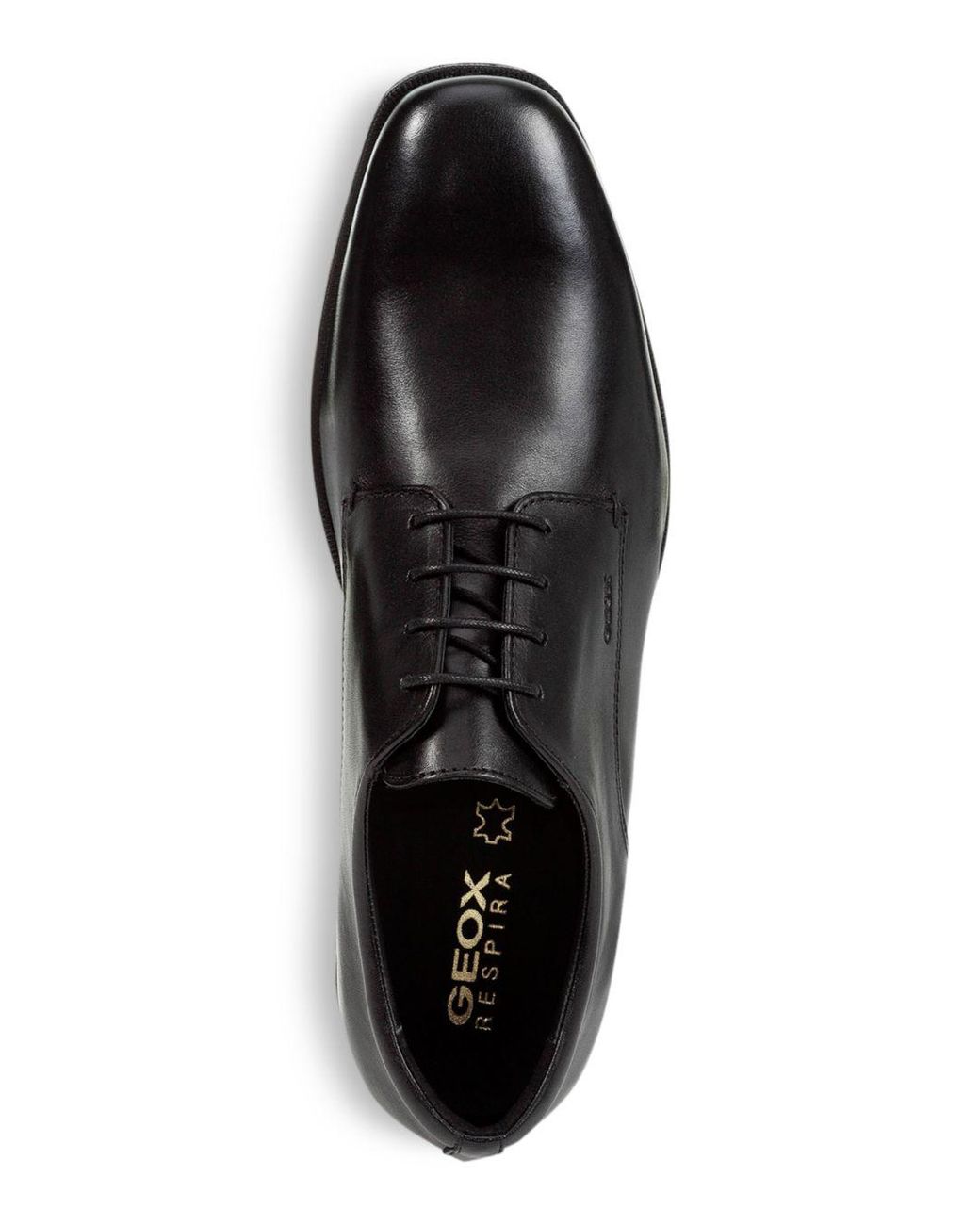 dsw geox