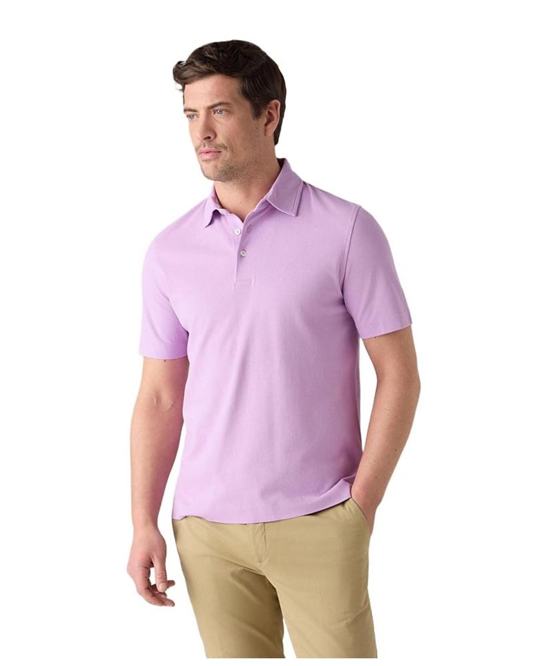 Robert Talbott Purple Walker Short Sleeve Polo for men