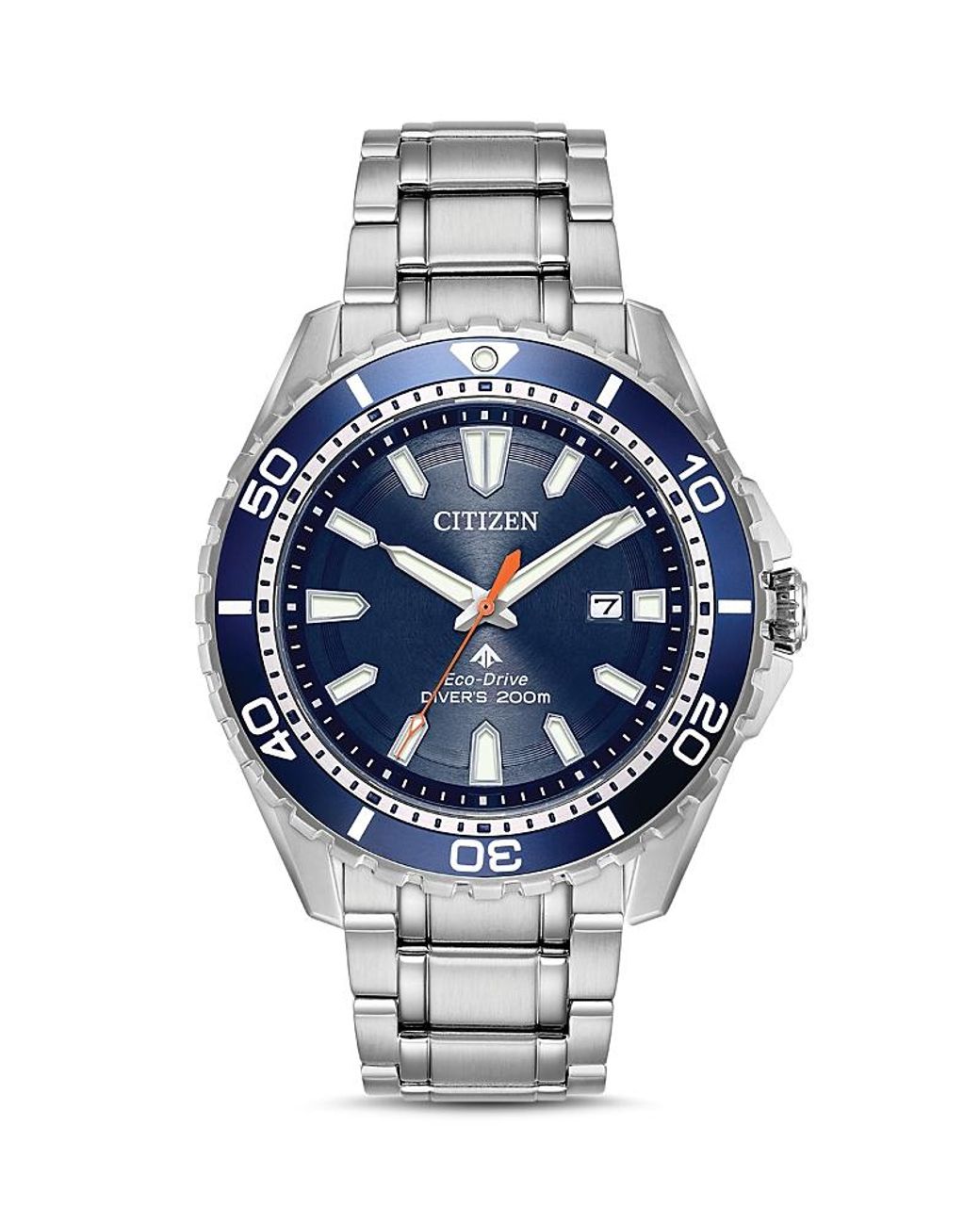 Citizen Metallic Promaster Dive Watch, 43.5Mm for men