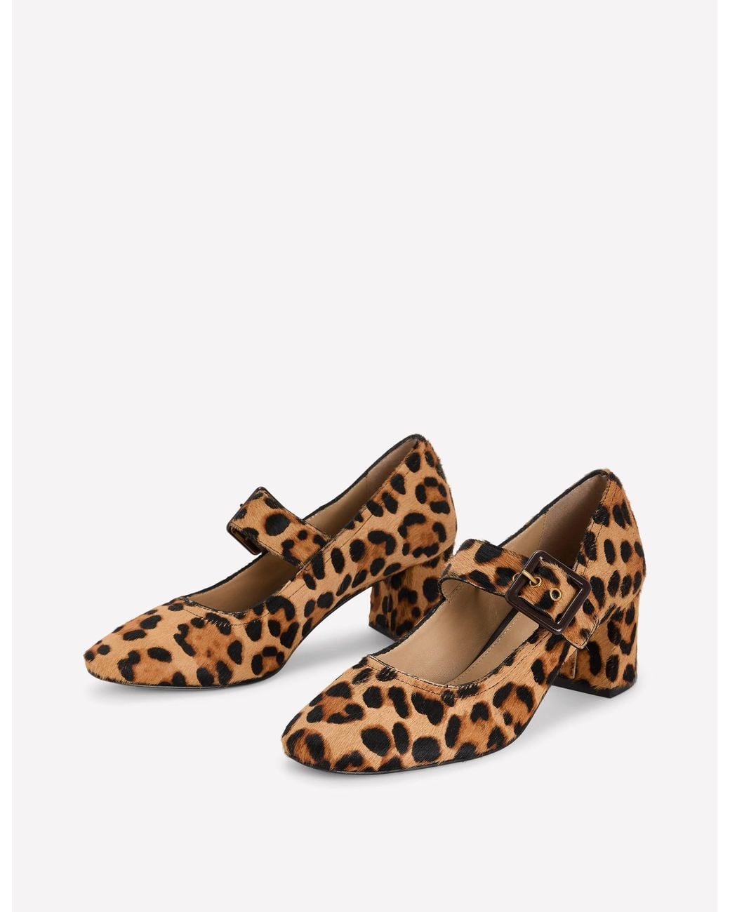 Boden Brown Buckle Strap Block Heels