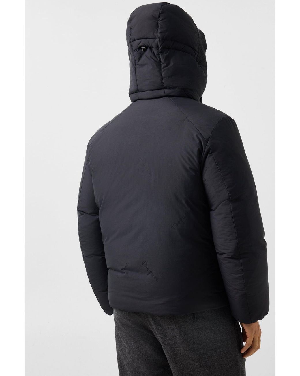 Bogner Blue Peter Down Jacket For for men