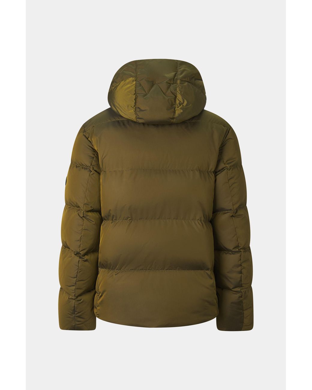 Bogner Green Jamy Down Jacket for men