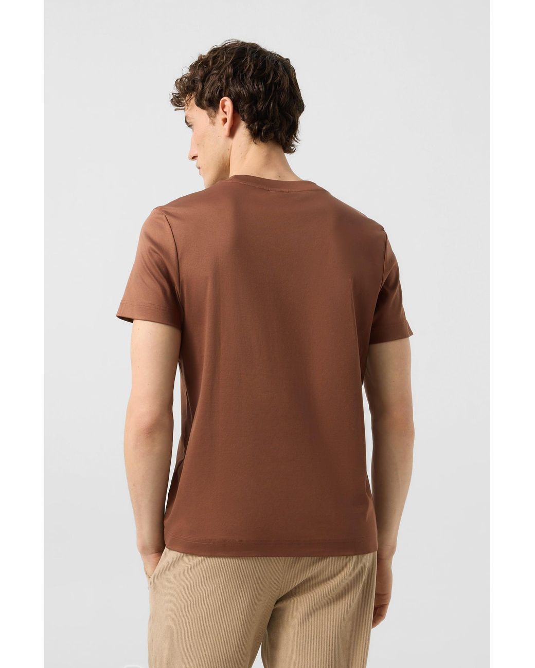 Bogner Brown Cotton T-shirt Ryan for men