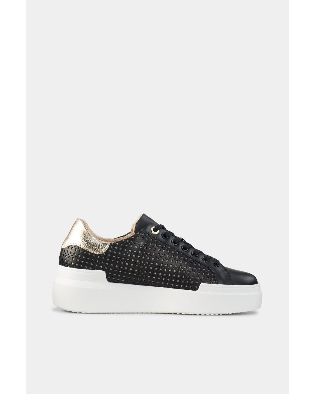 Bogner Multicolor Sneaker Hollywood