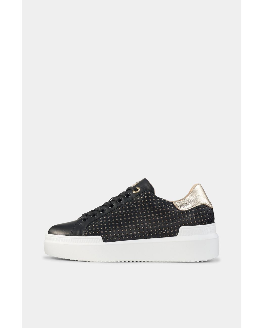 Bogner Multicolor Sneaker Hollywood