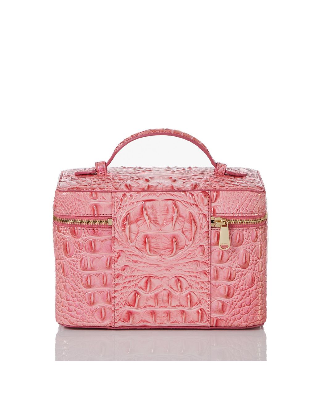 Brahmin makeup deals bag