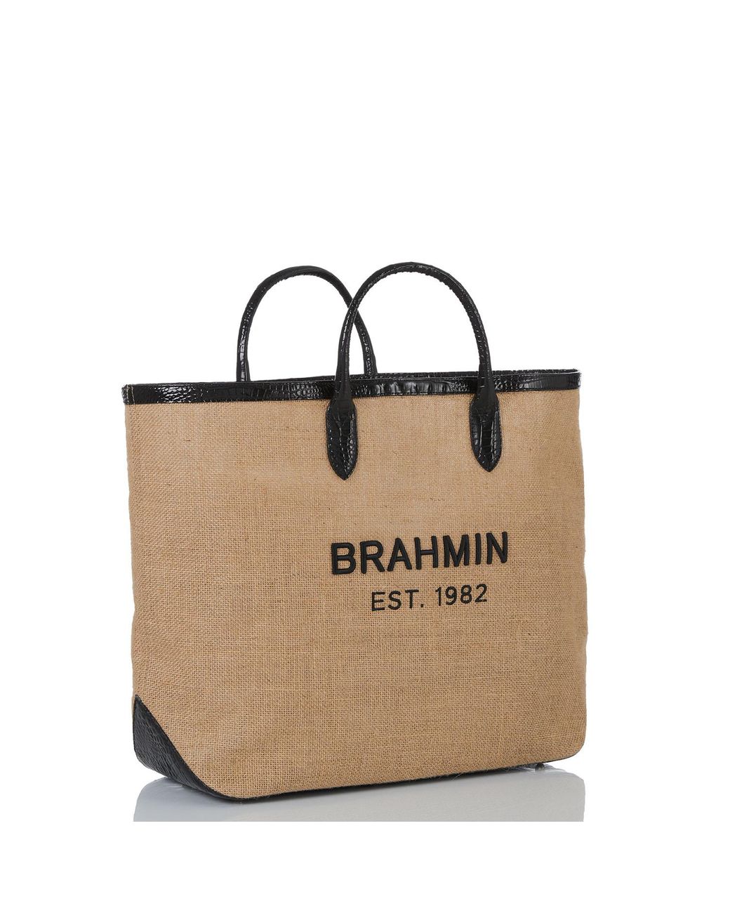 Brahmin Brooklyn in Brown