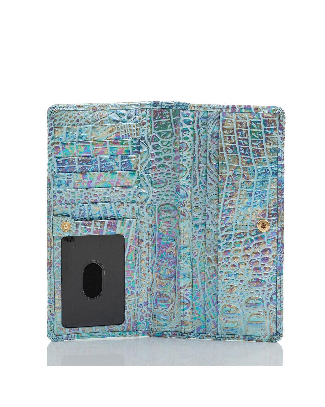 ady wallet brahmin