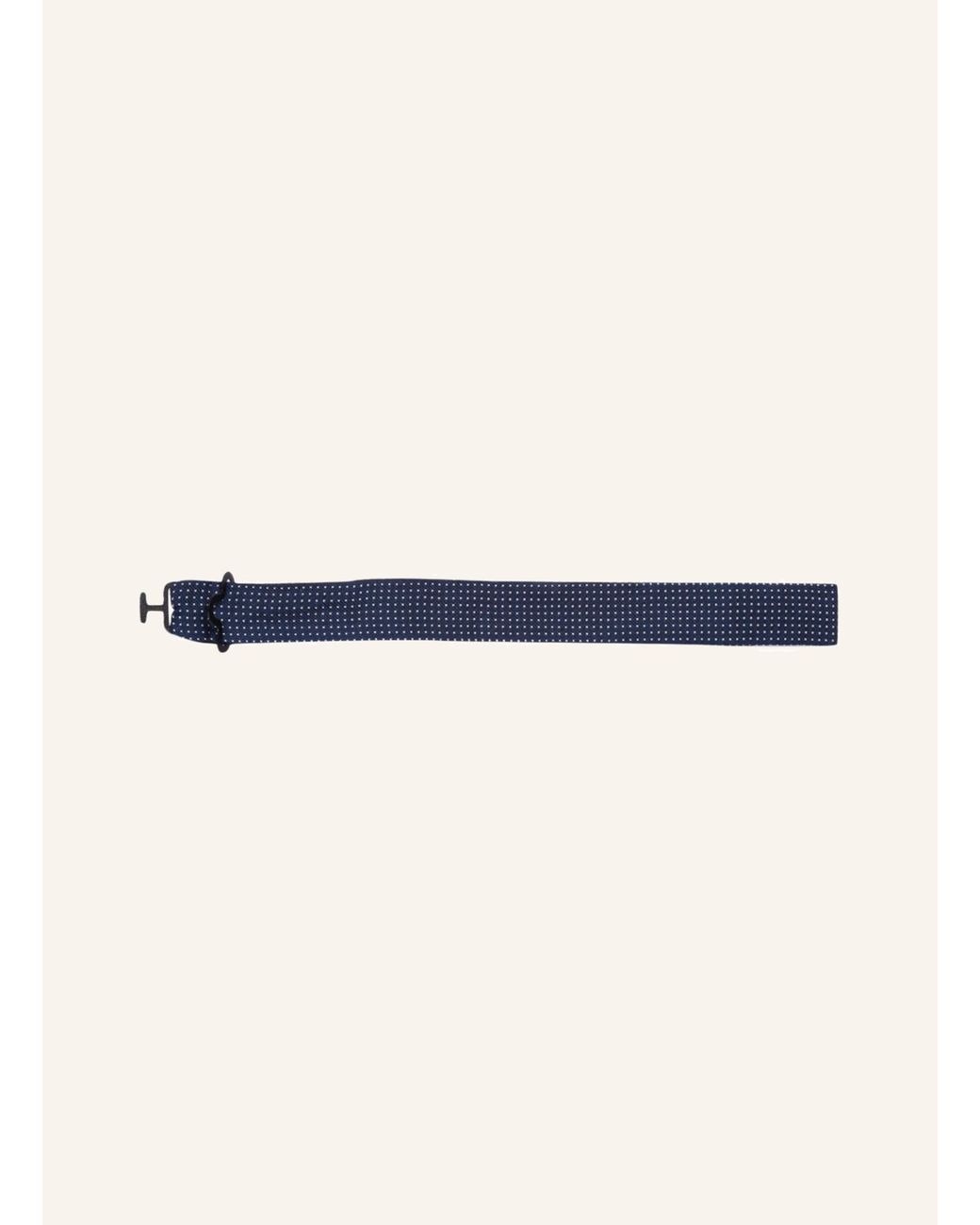 Paul Smith Fliege in Blue für Herren