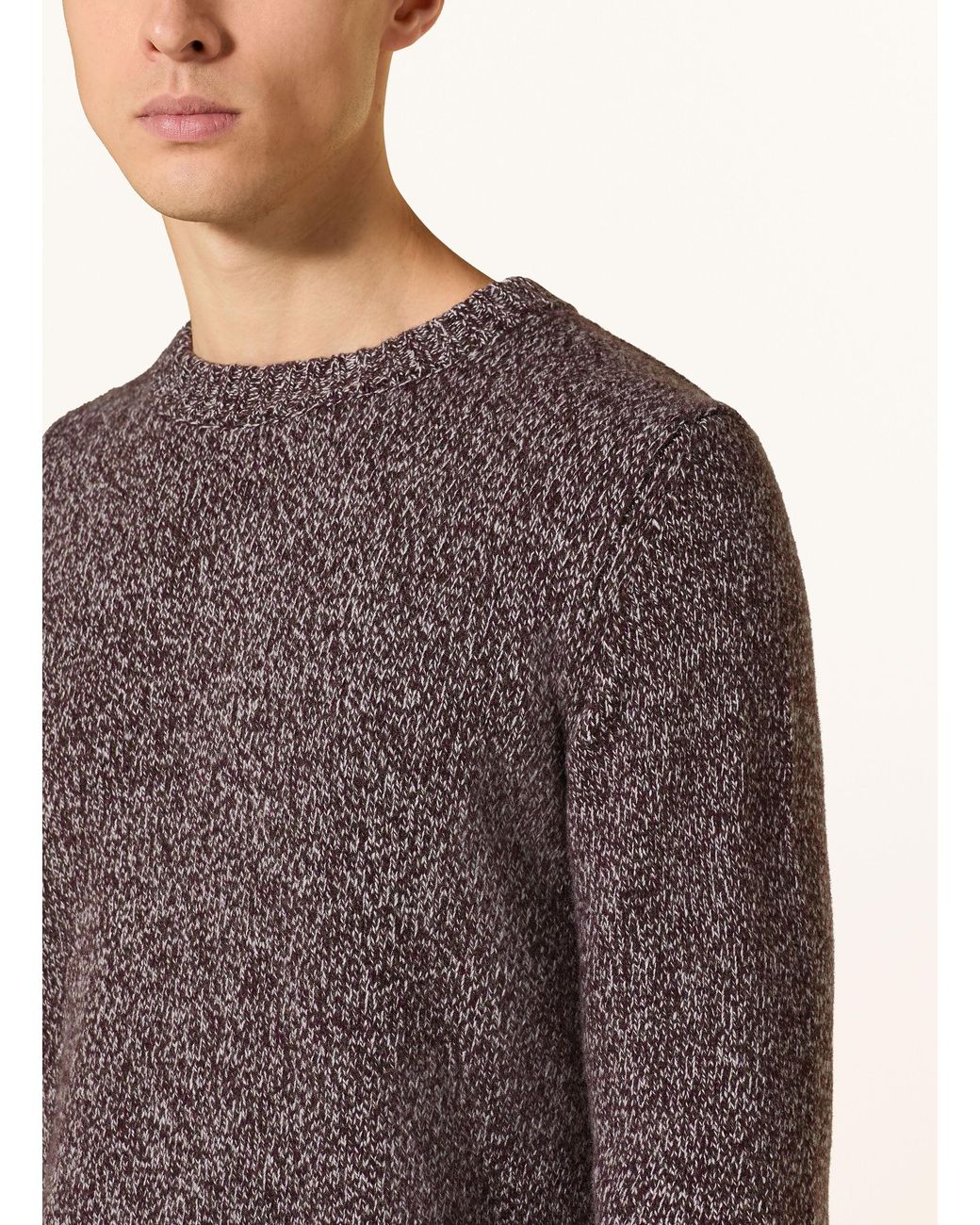 Maerz Pullover in Brown für Herren