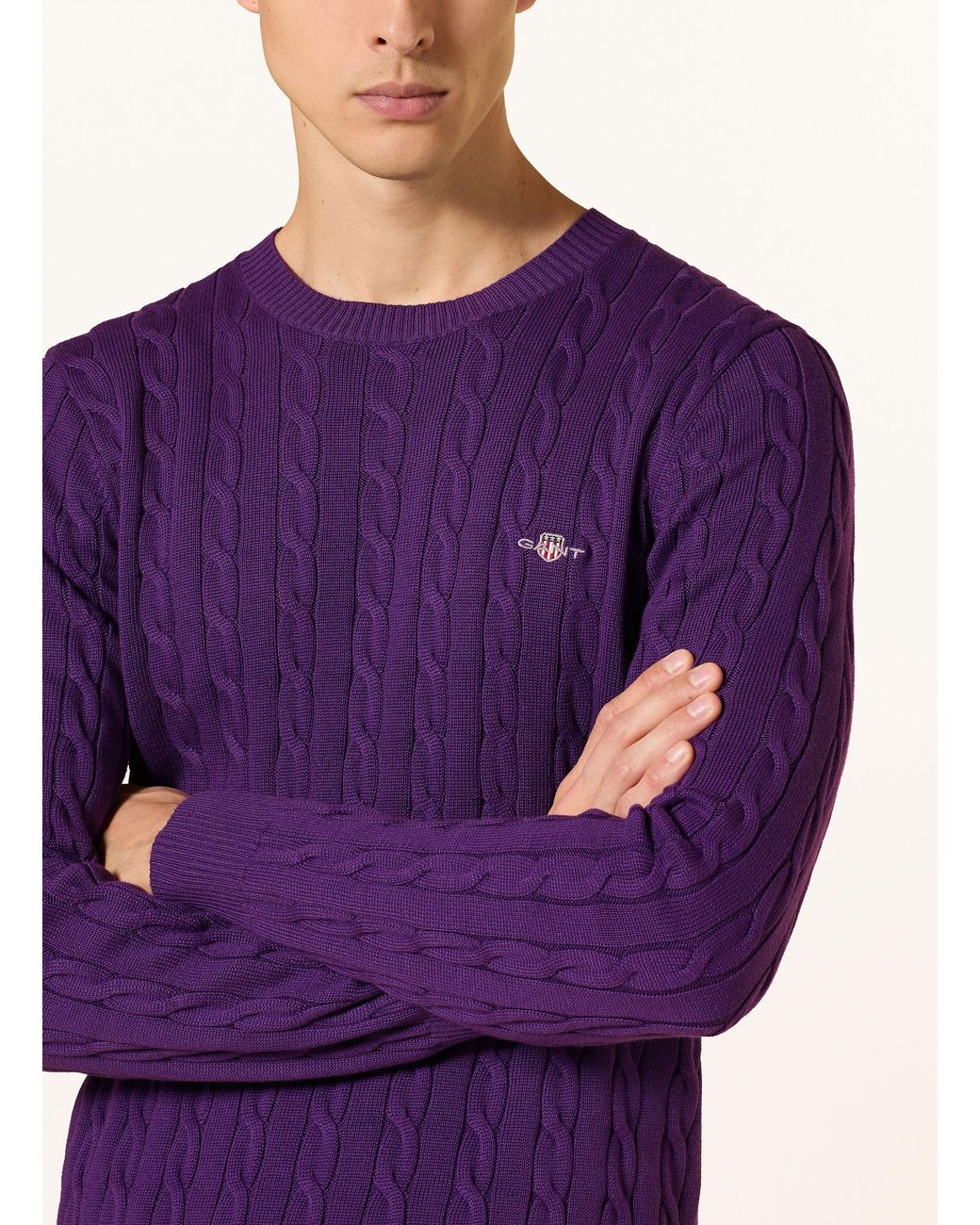 Gant Pullover in Purple für Herren
