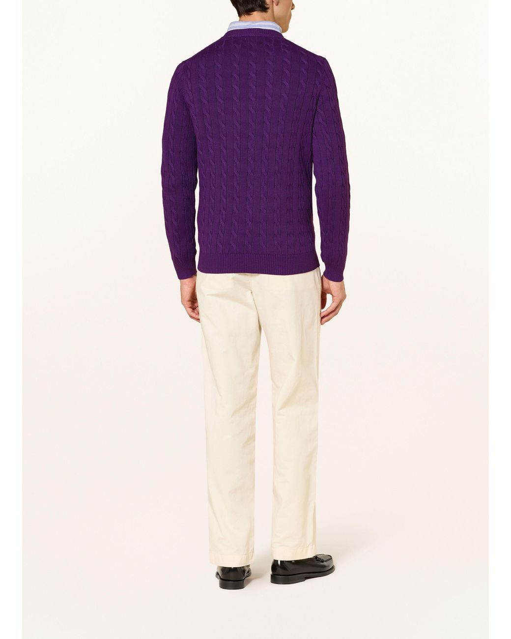 Gant Pullover in Purple für Herren