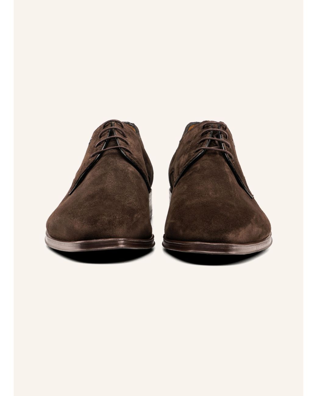 Floris Van Bommel Schnürschuh RAFFA 03 in Brown für Herren