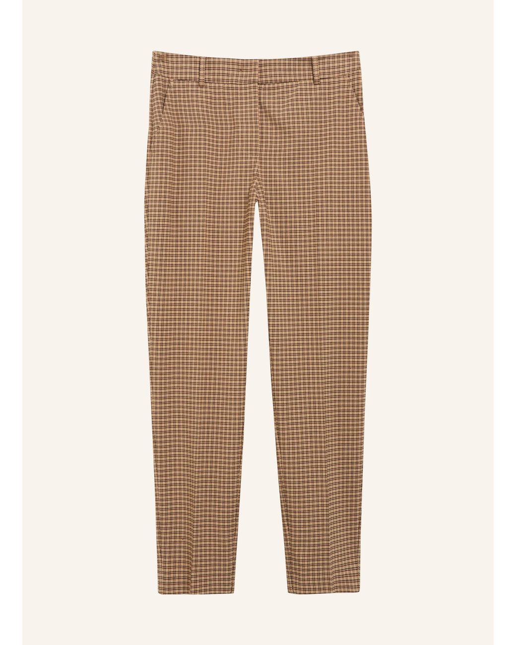 Comma, Natural Hose