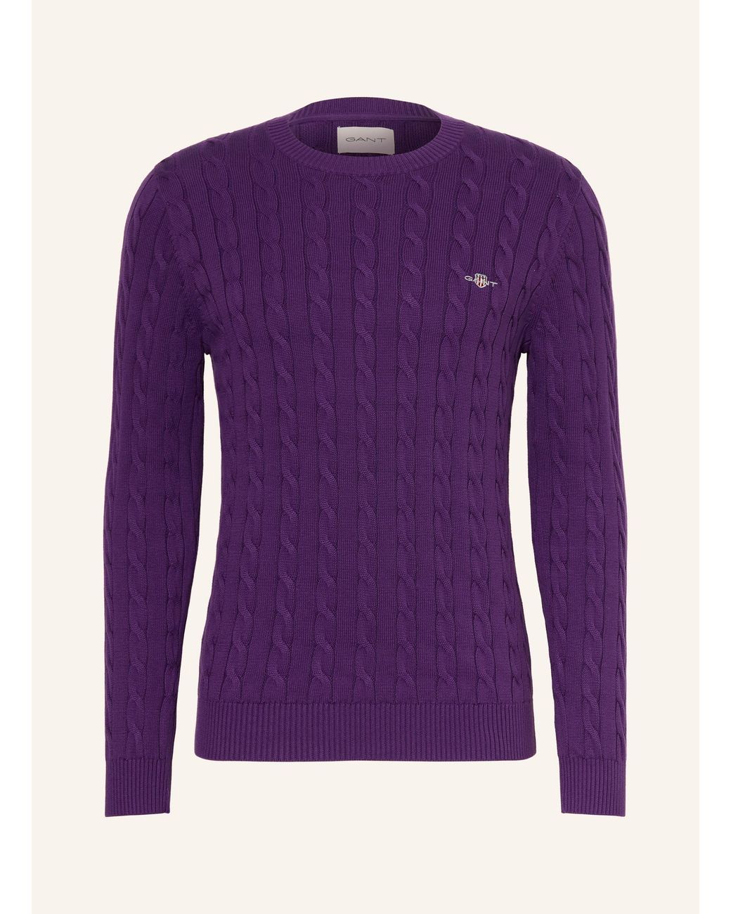 Gant Pullover in Purple für Herren