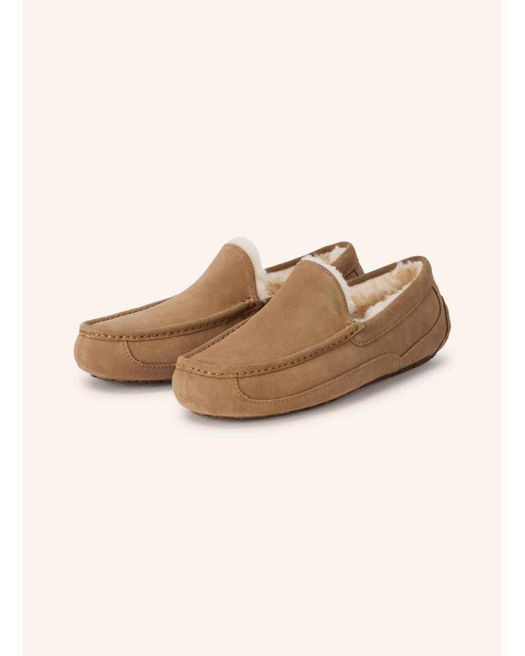 Ugg Hausschuhe ASCOT in Natural für Herren