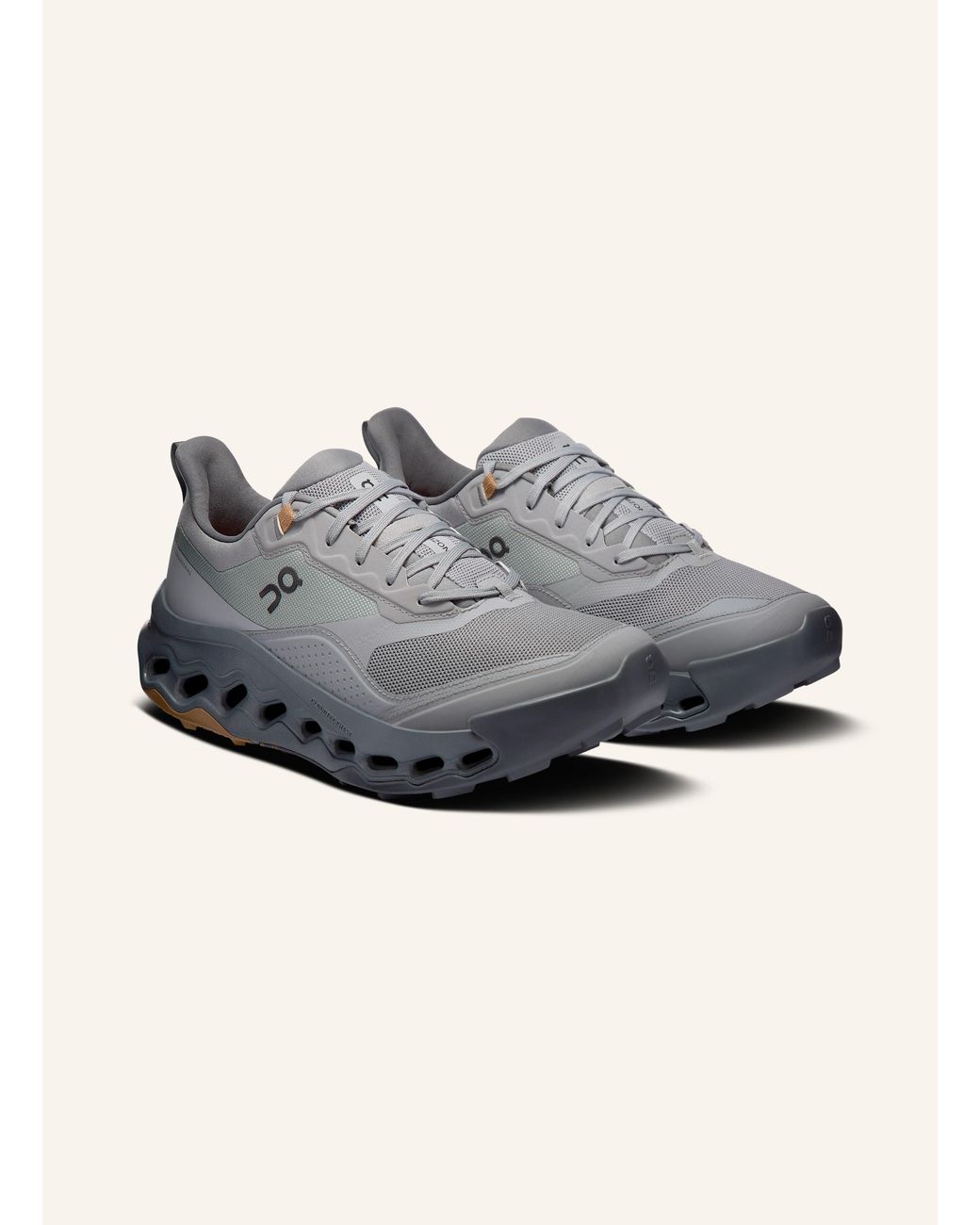 On Shoes Wanderschuhe CLOUDHORIZ 2 in Gray für Herren