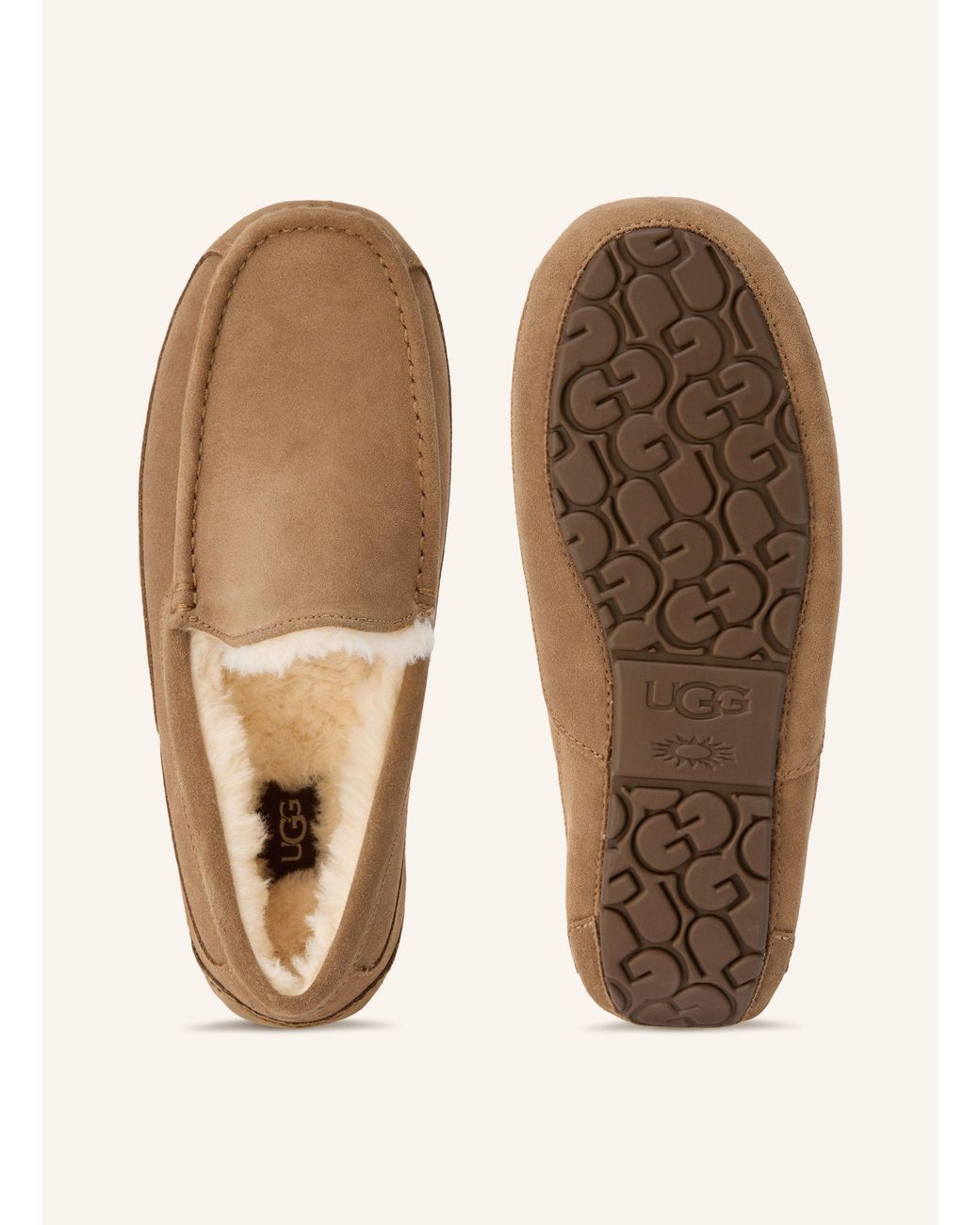 Ugg Hausschuhe ASCOT in Natural für Herren
