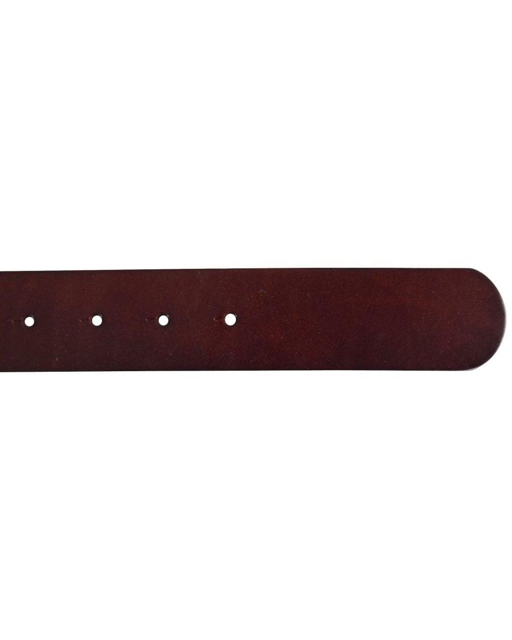 Brown/gold Horseshoe Buckle Belt 