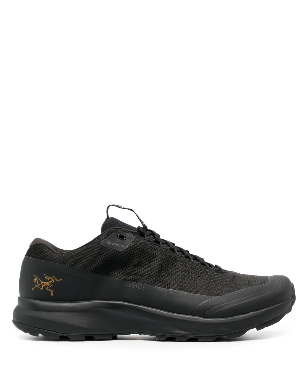 Arc'teryx Aerios Fl 2 Gtx Sneakers - Men's - Fabric/rubber in Black for ...