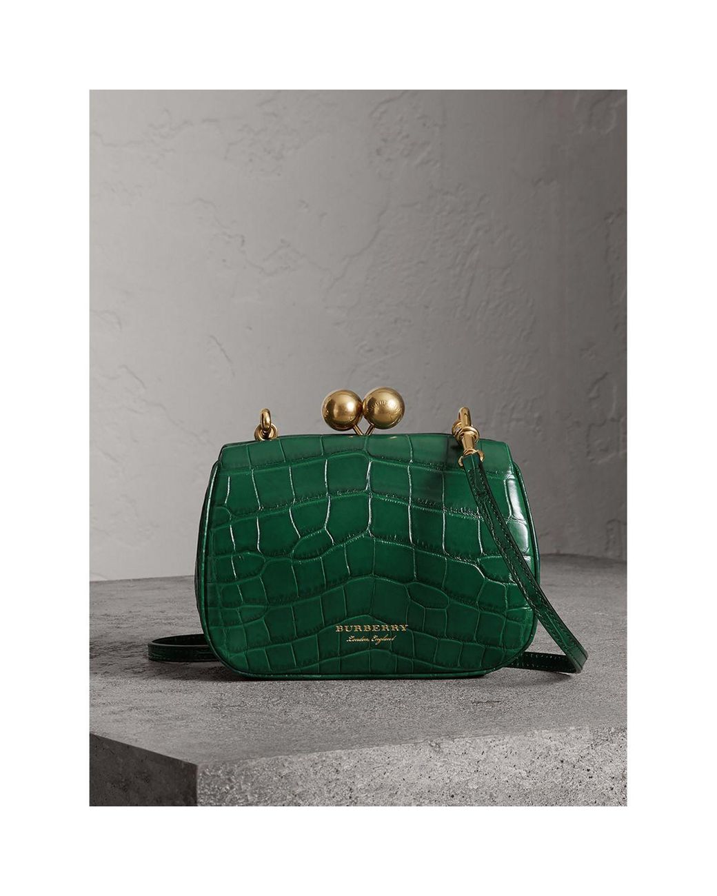 Burberry Kleine Tasche aus Alligatorleder mit Bügelverschluss in Grün |  Lyst DE