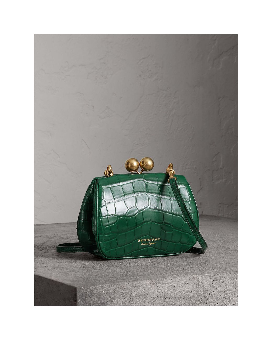 Burberry Small Alligator Frame Bag in Green | Lyst Canada