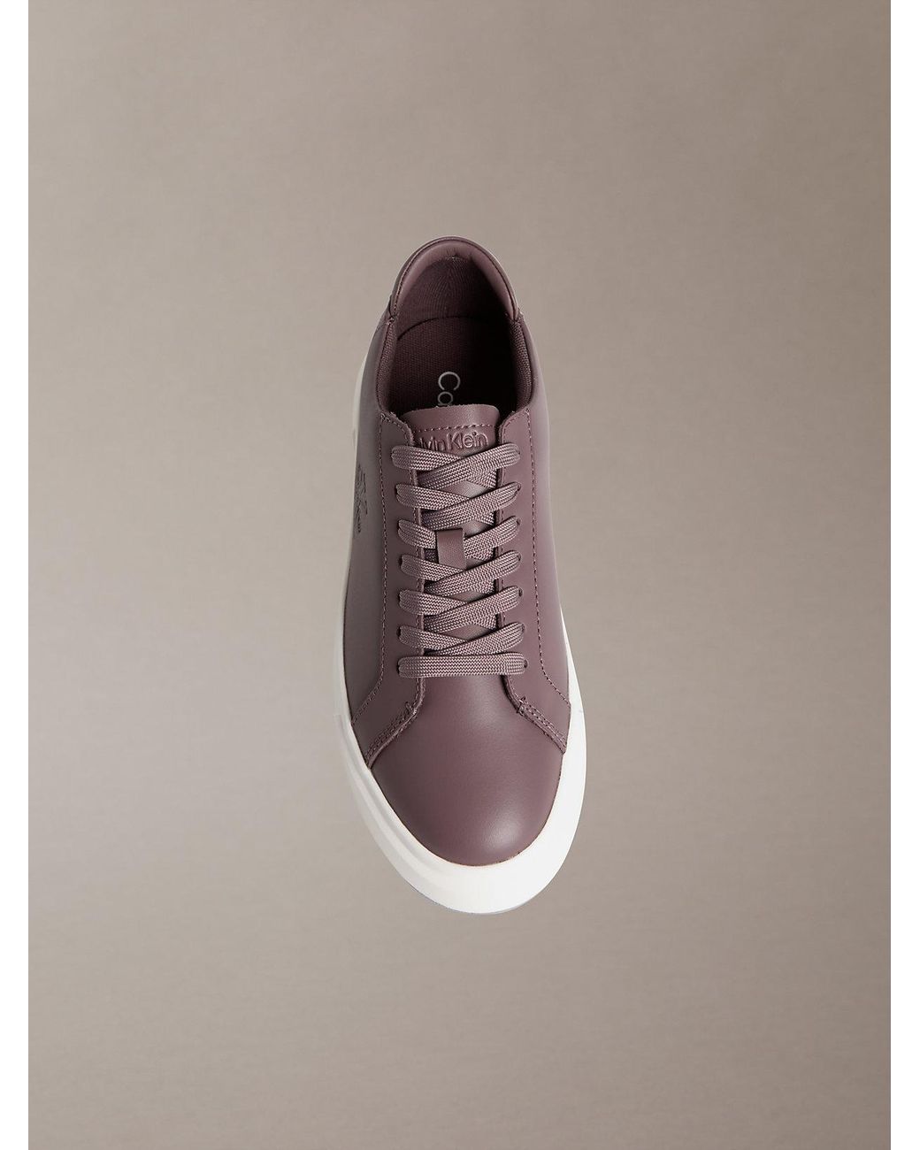 Premier di Calvin Klein in Brown