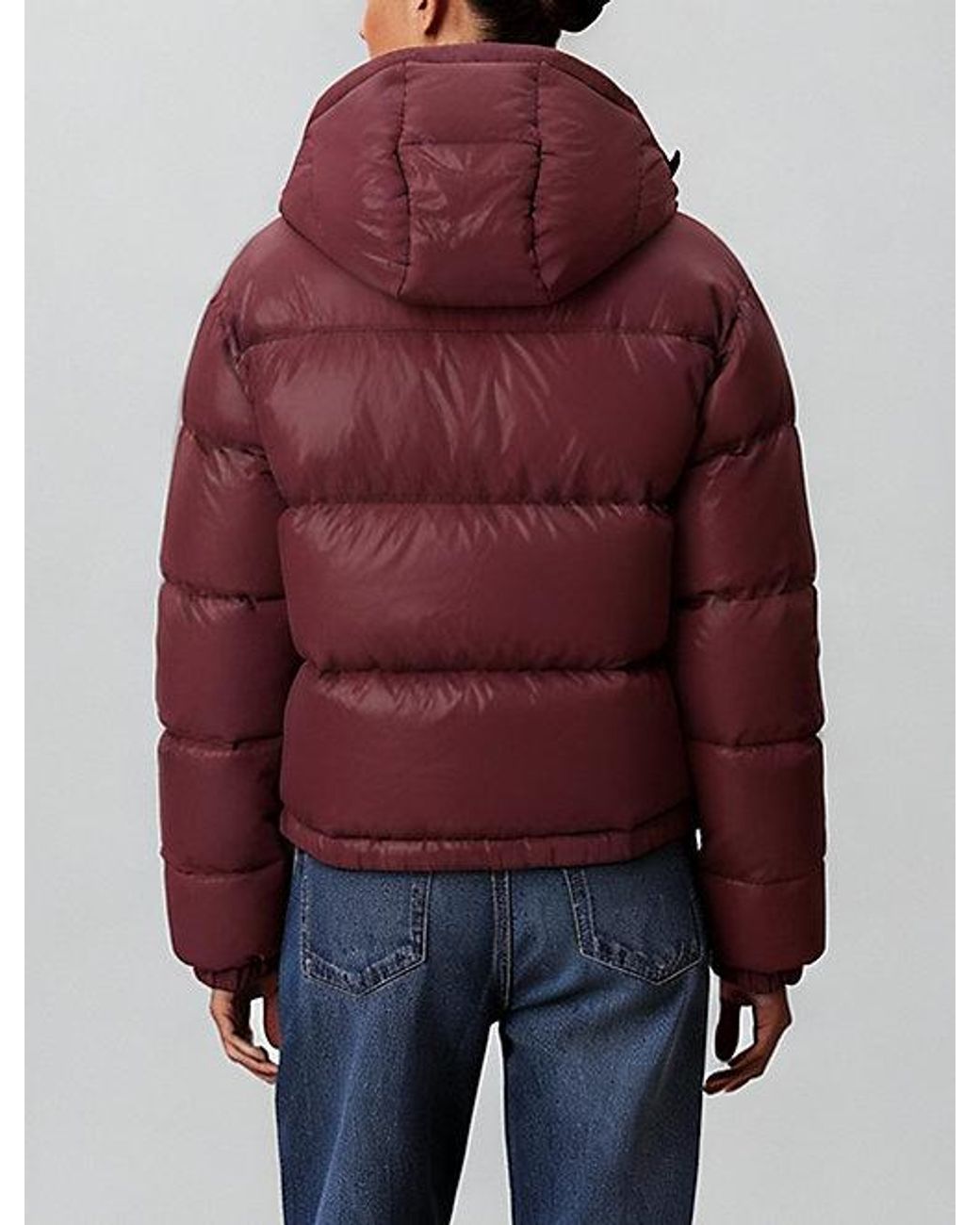 Calvin Klein Kort Donzen Pufferjack in het Blue