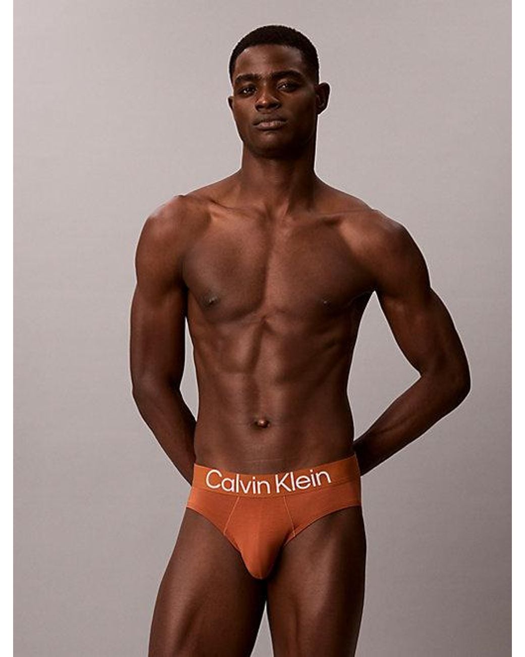 Calvin Klein Gray 3 Pack Hip Briefs Ultra Soft Cotton Lyocell for men