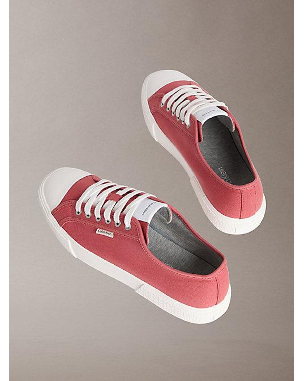 Calvin Klein Pink Ck Leo Canvas Logo Trainers for men