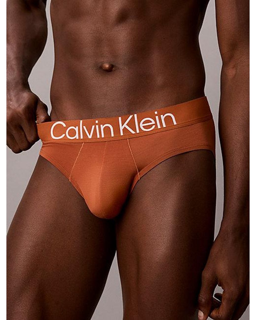 Calvin Klein Gray 3 Pack Hip Briefs Ultra Soft Cotton Lyocell for men
