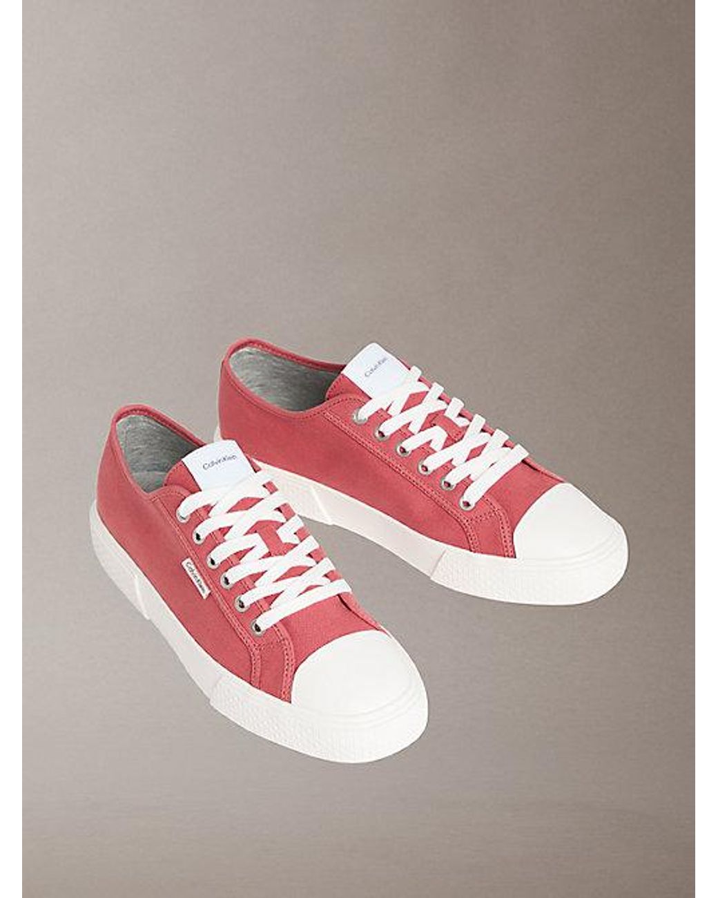 Calvin Klein Pink Ck Leo Canvas Logo Trainers for men