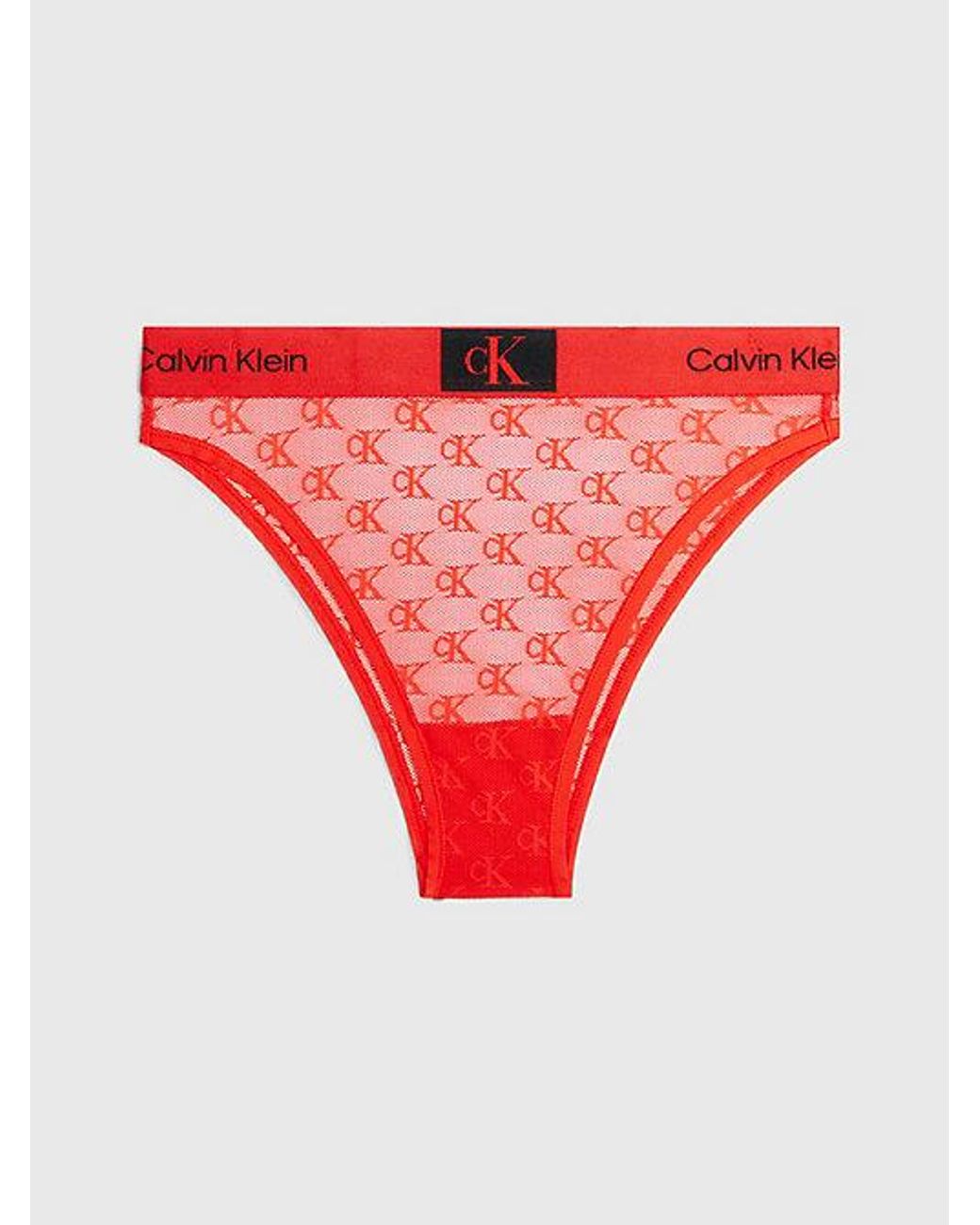 calvin klein brazilian slip