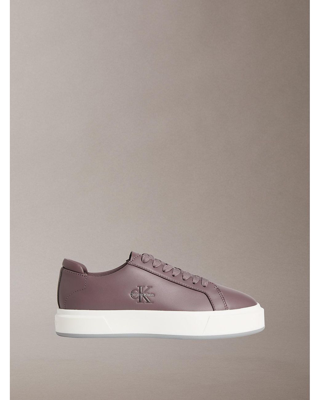 Premier di Calvin Klein in Brown