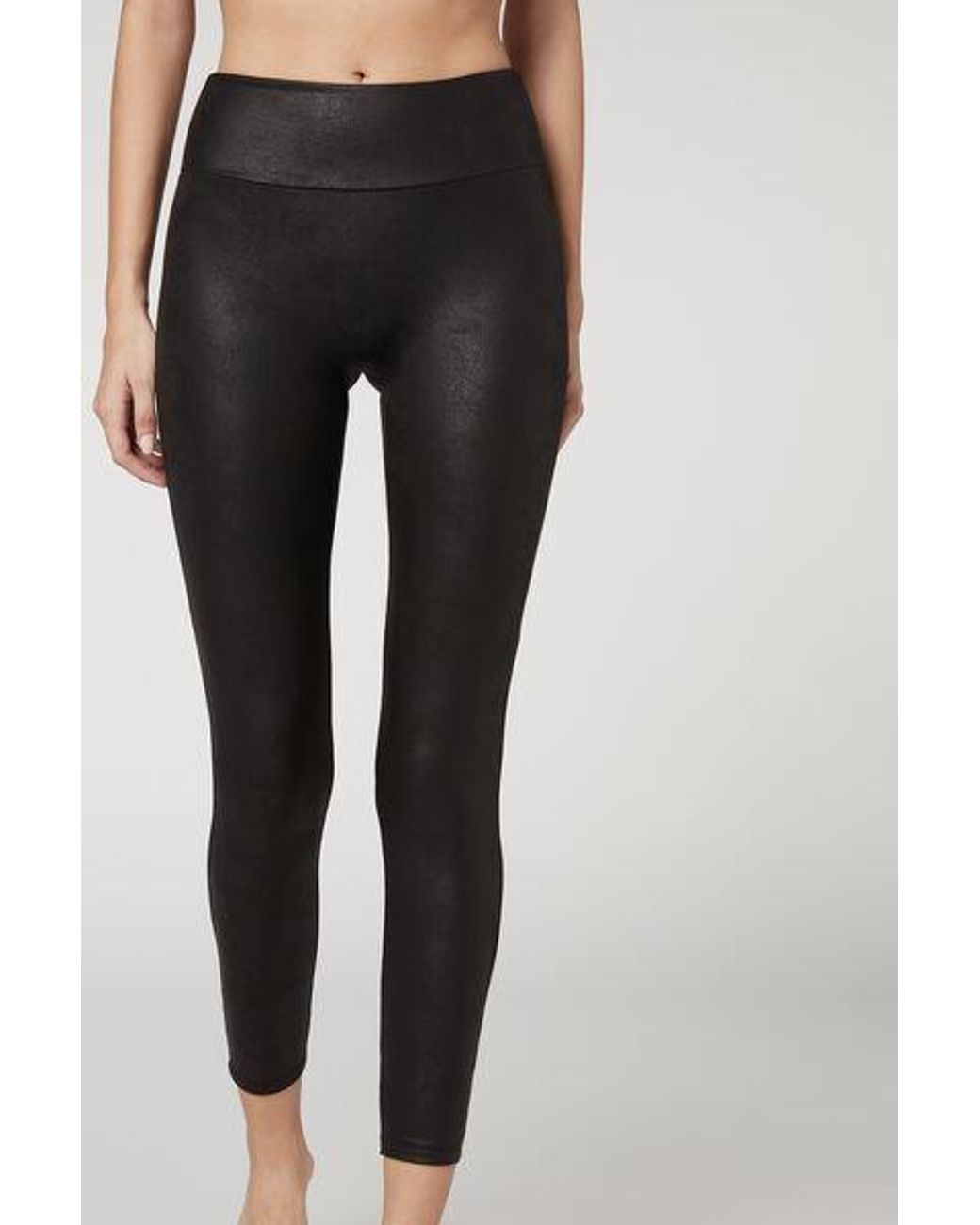 Leather Effect Leggings Calzedonia Usa  International Society of Precision  Agriculture