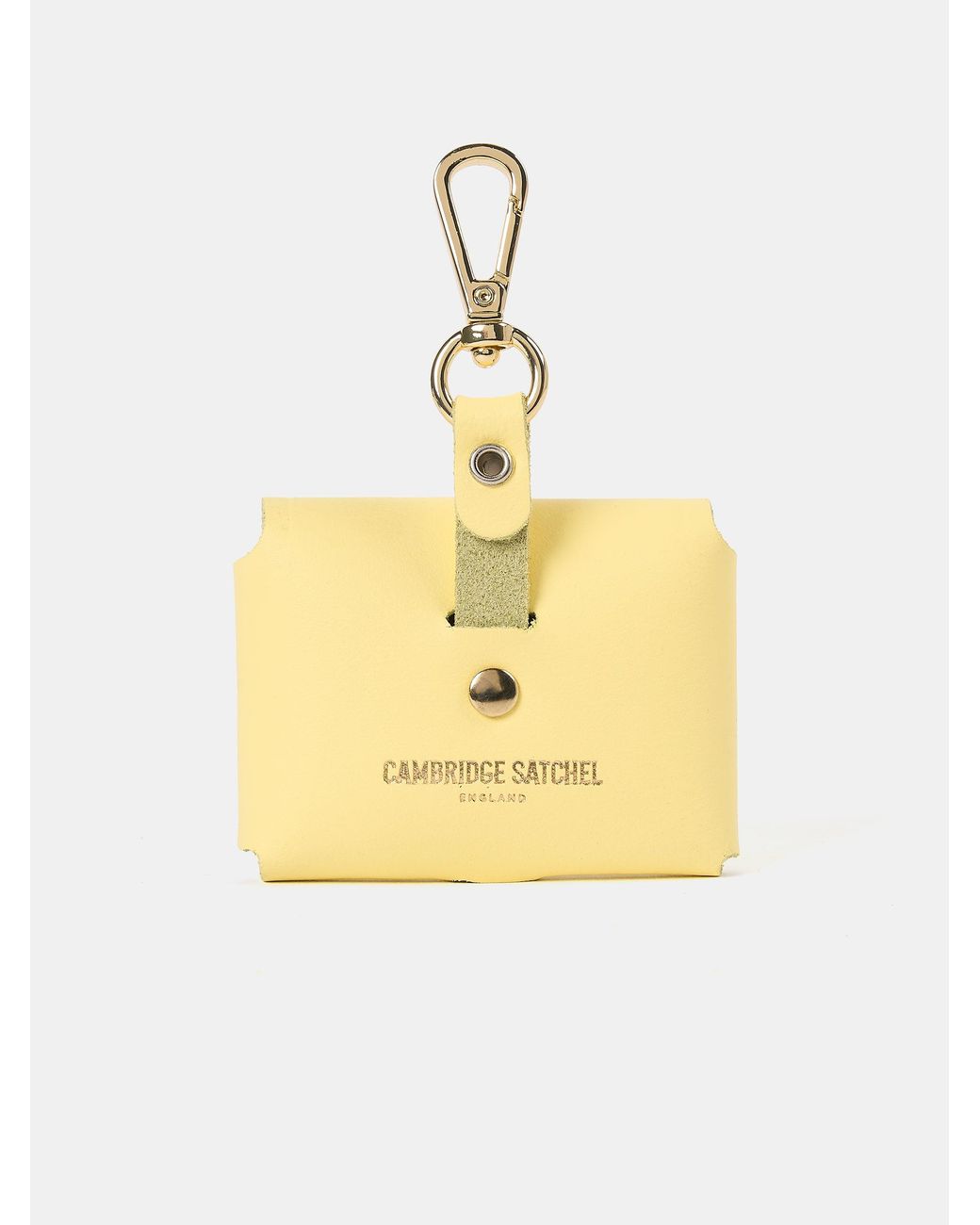 Cambridge Satchel Company Metallic The Airpods Pro Case