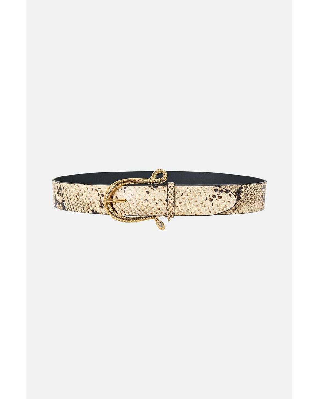 Camilla Brown Snake Buckle Belt Animalia Heirlooms