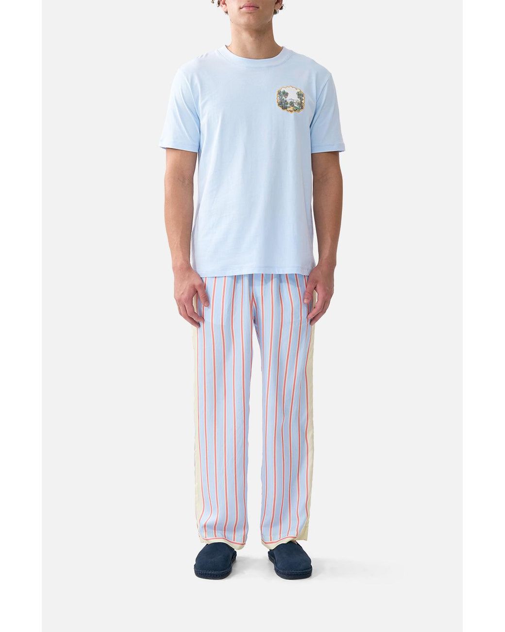 Camilla Blue Relaxed Heavyweight Crew Neck Tee Botanical Ballads for men