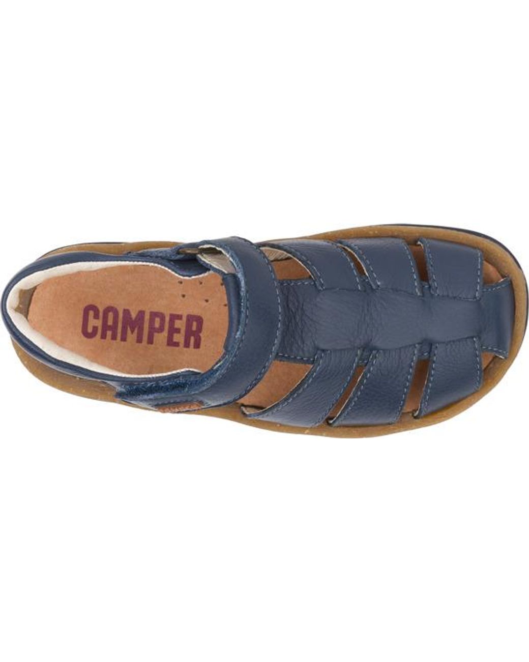 Camper Blue Bicho