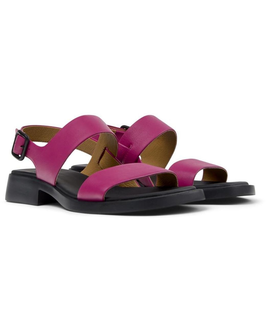 Dana Camper en coloris Purple