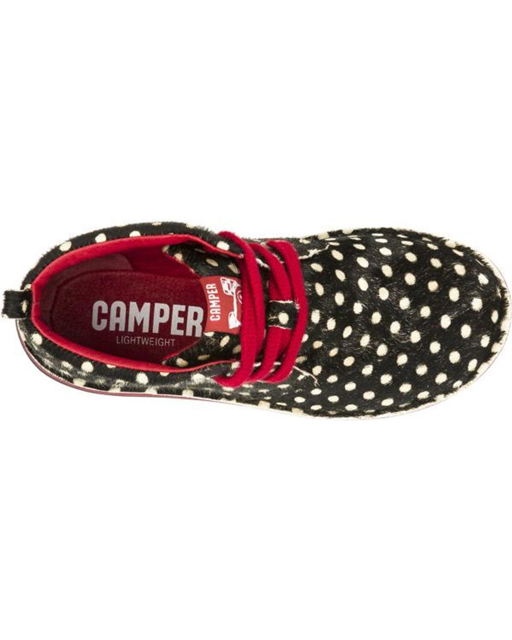 Camper Black Beetle
