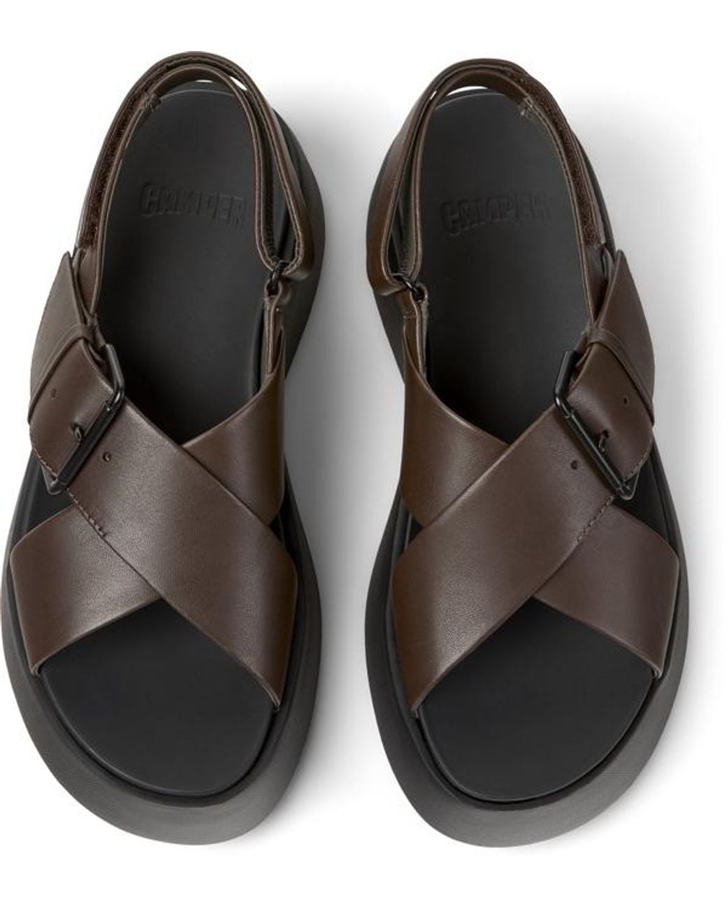 Camper Brown Tasha