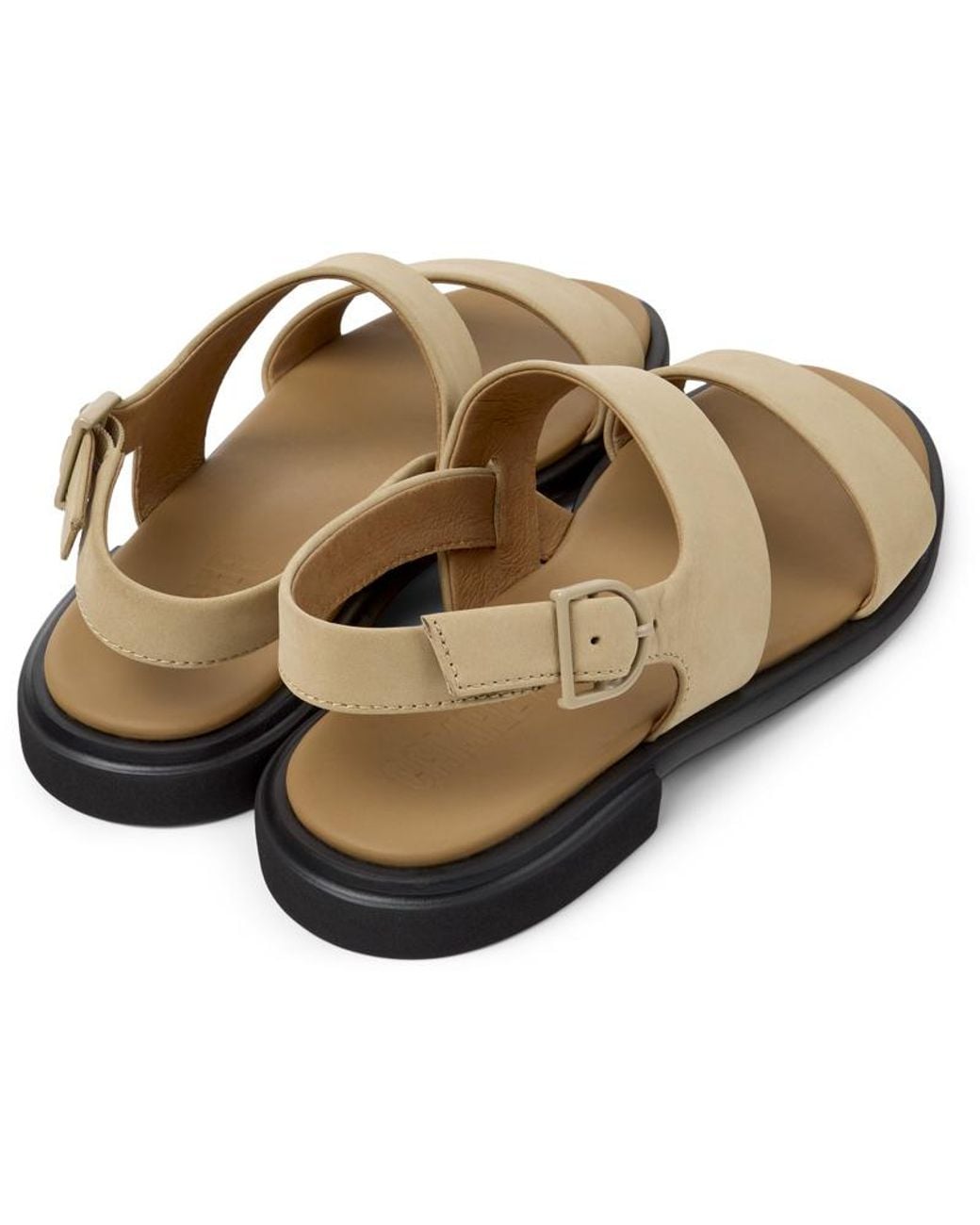 Camper Brown Edy