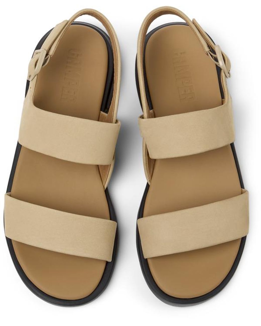 Camper Brown Edy