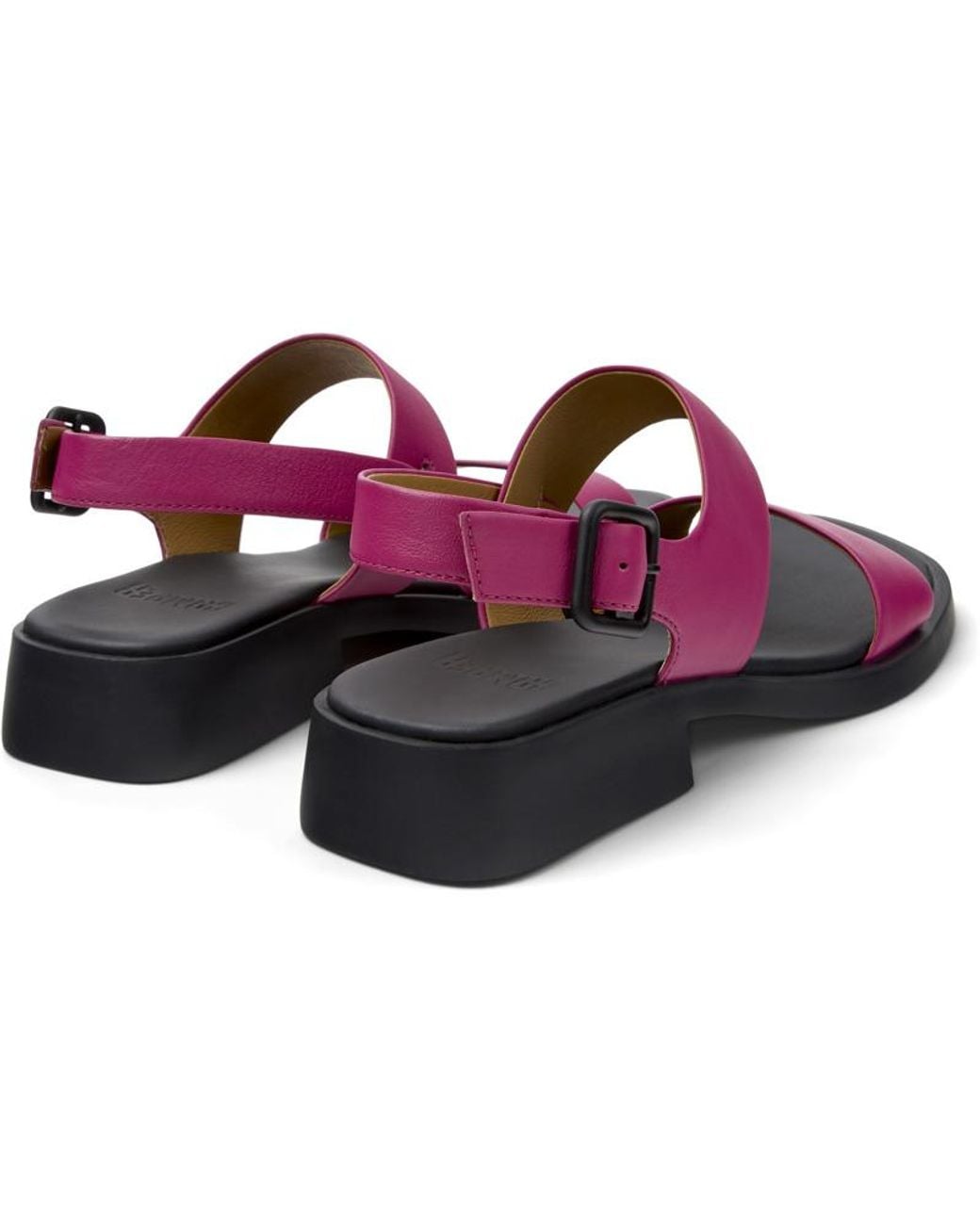 Dana Camper en coloris Purple