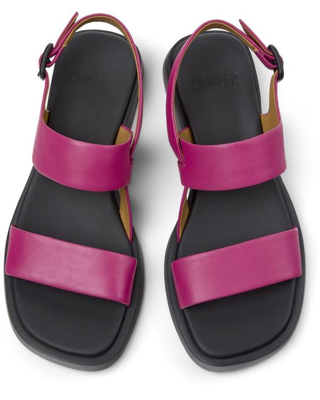 Dana Camper en coloris Purple