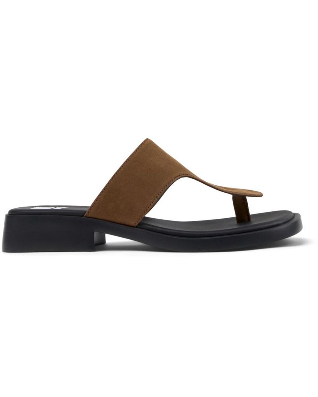 Twins Camper en coloris Brown
