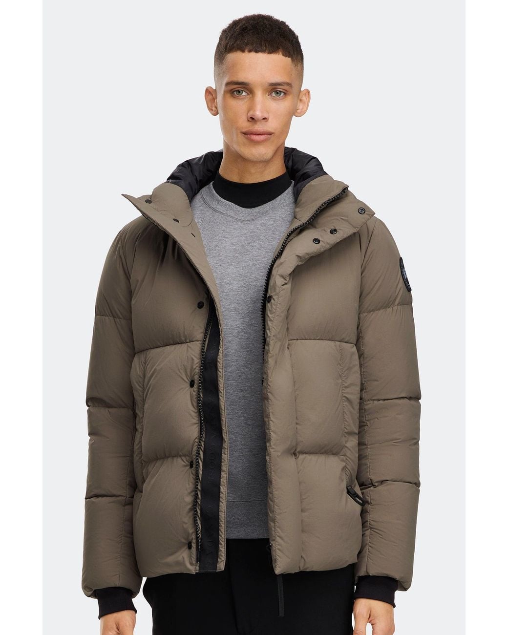 Canada Goose Brown Everett Puffer for men