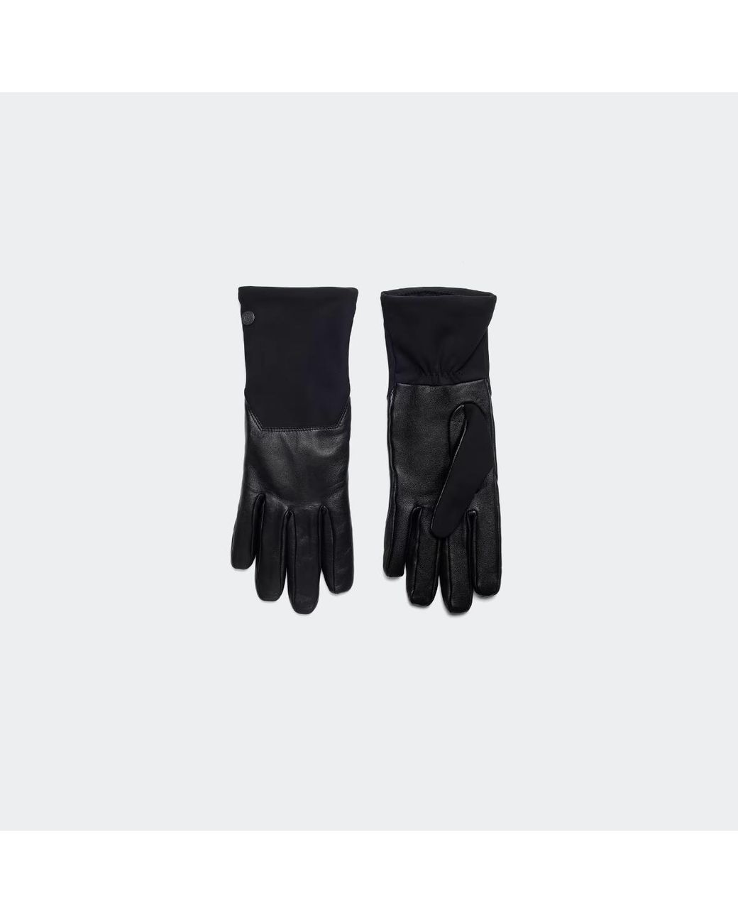 Canada Goose Black Mixed Media Glove